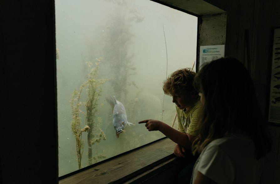 Unterwasserwelt Umweltgarten Wiesm&uuml;hl, &copy; Inn-Salzach Tourismus