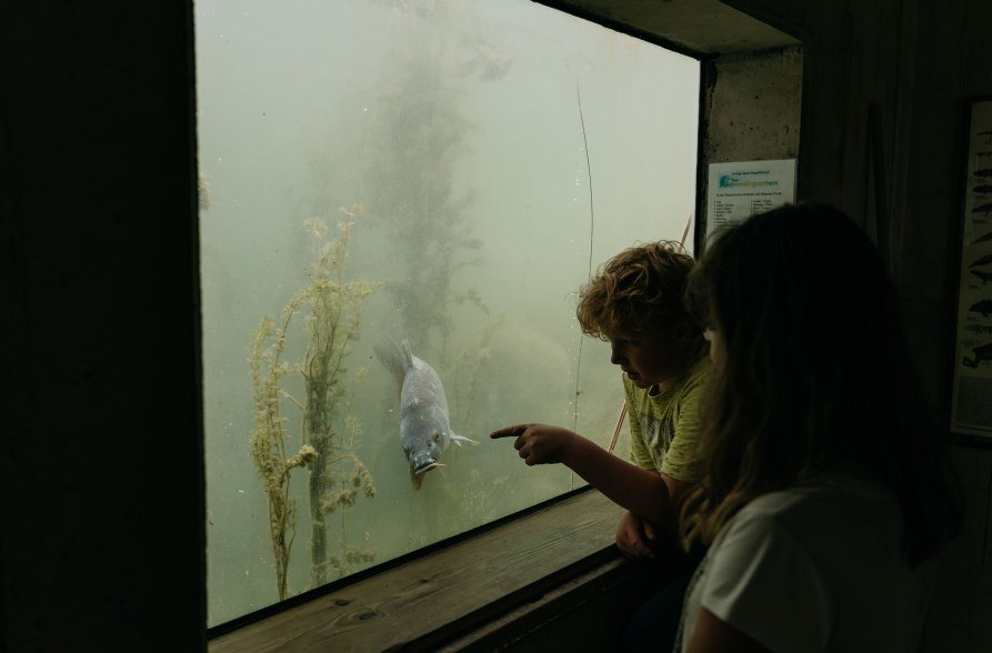 Unterwasserwelt Umweltgarten Wiesm&uuml;hl, &copy; Inn-Salzach Tourismus