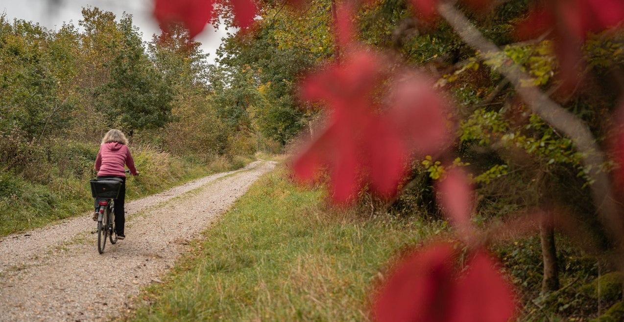 Radfahren auf dem Benediktweg, &copy; Saskia Niedermeier