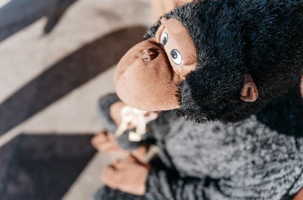 Schwindegger Viecherei, &copy; Tourismusverband Inn-Salzach