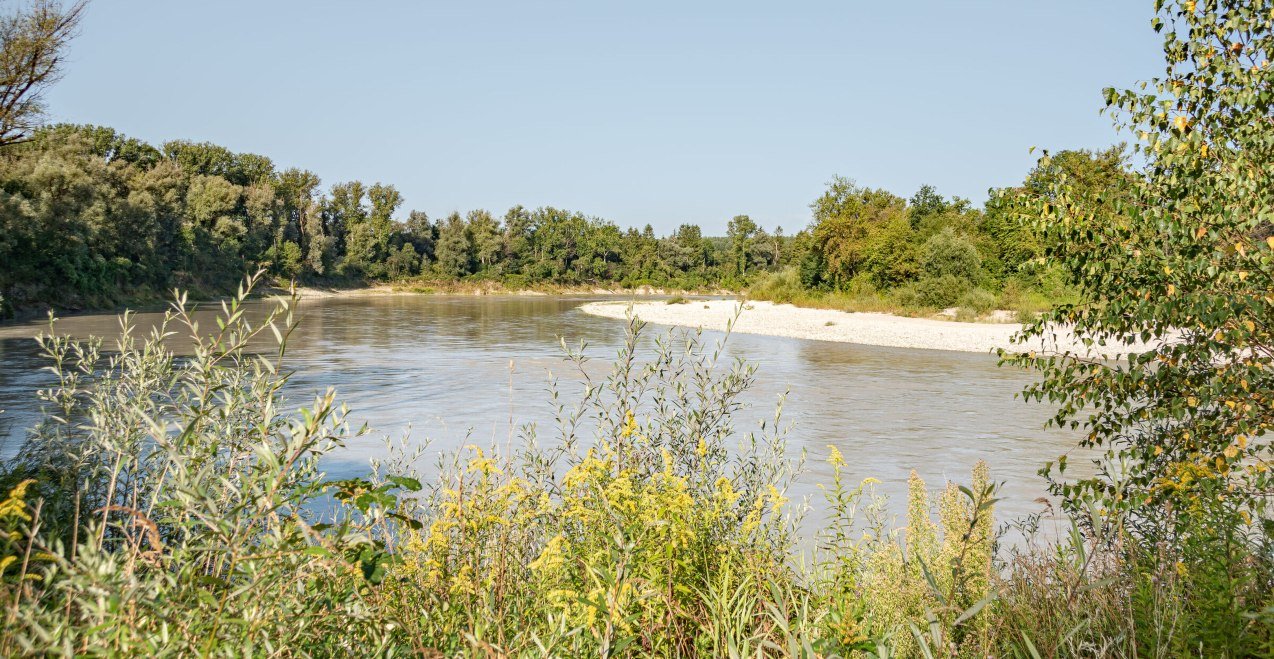 Innauen, &copy; Saskia Niedermeier