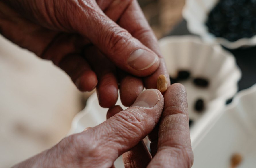 CaTienda Kaffeebohne, &copy; Inn-Salzach Tourismus