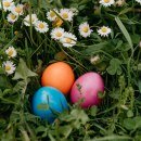 Eier im Gras, &copy; Inn-Salzach Tourismus