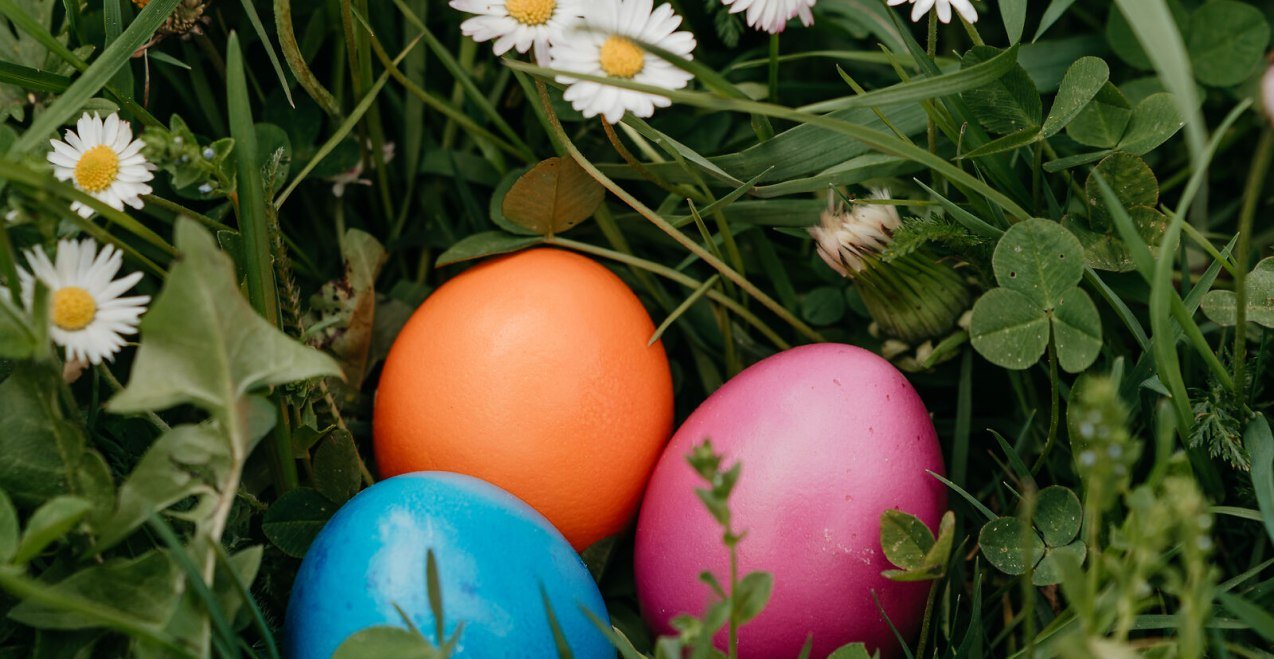 Eier im Gras, &copy; Inn-Salzach Tourismus