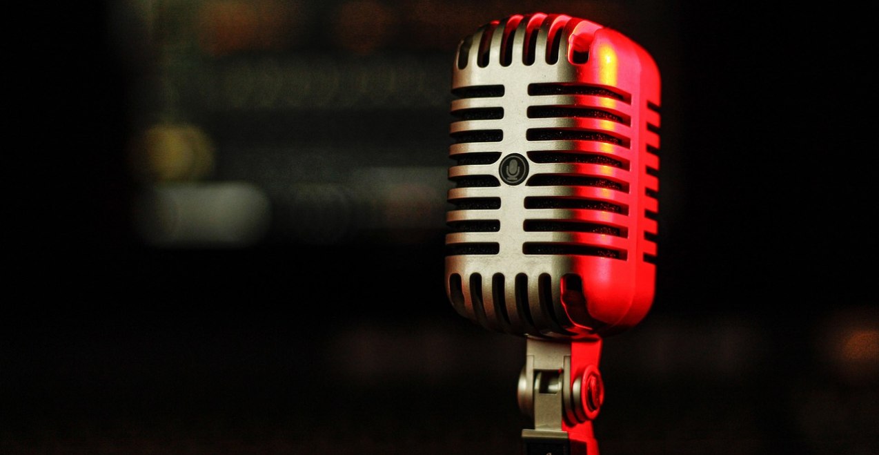 Elvis Dinner Show, © Pixabay