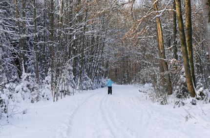 Loipe Alt&ouml;tting, &copy; Inn-Salzach Tourismus