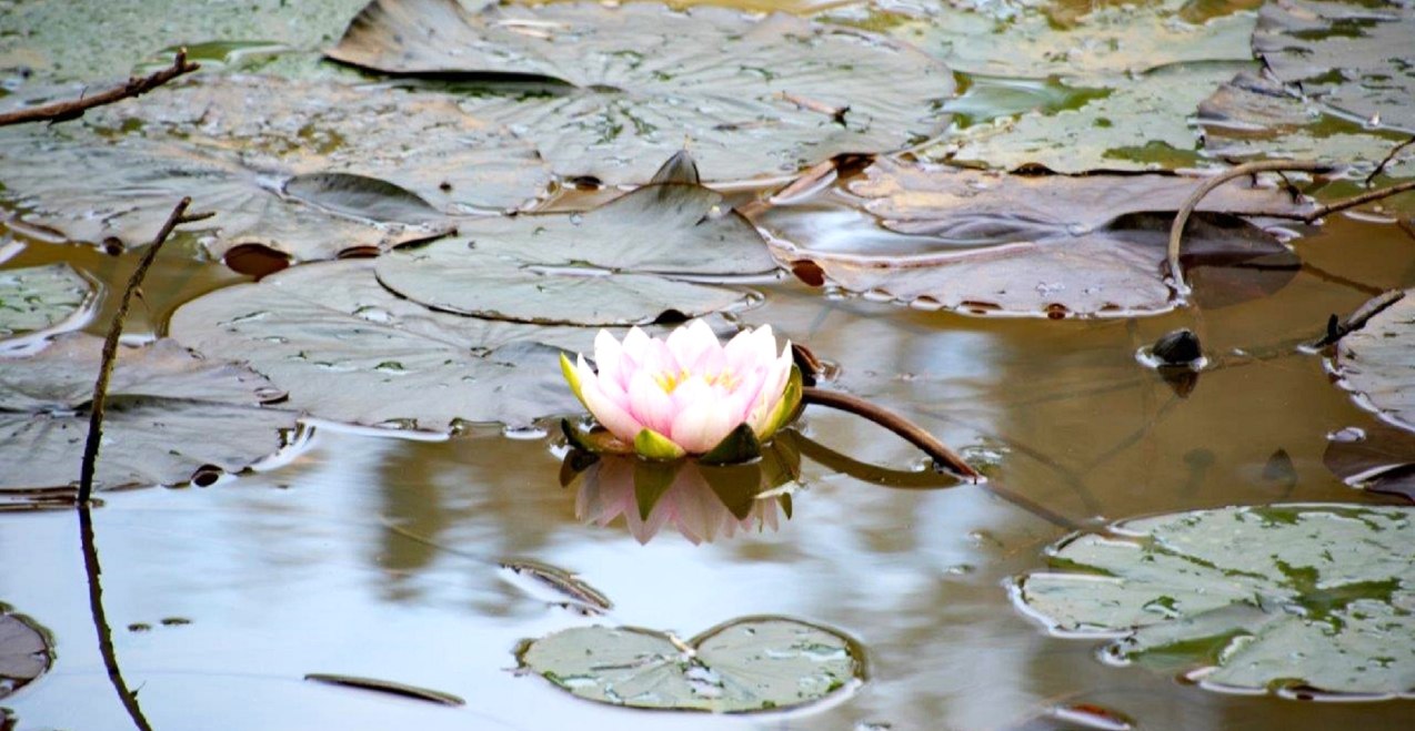 Meditative Wanderung, &copy; Isolde Ulbig