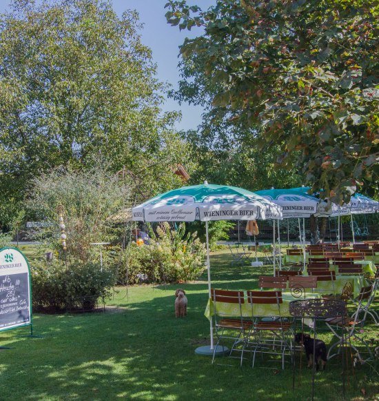 Moyer Hof Biergarten, &copy; Moyer Hof