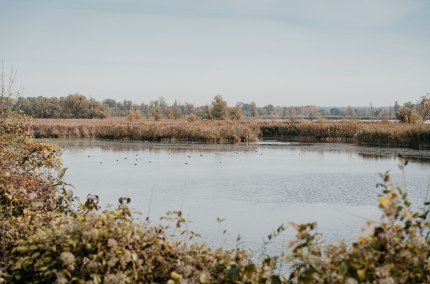 Europareservat "Unterer Inn", &copy; Inn-Salzach Tourismus