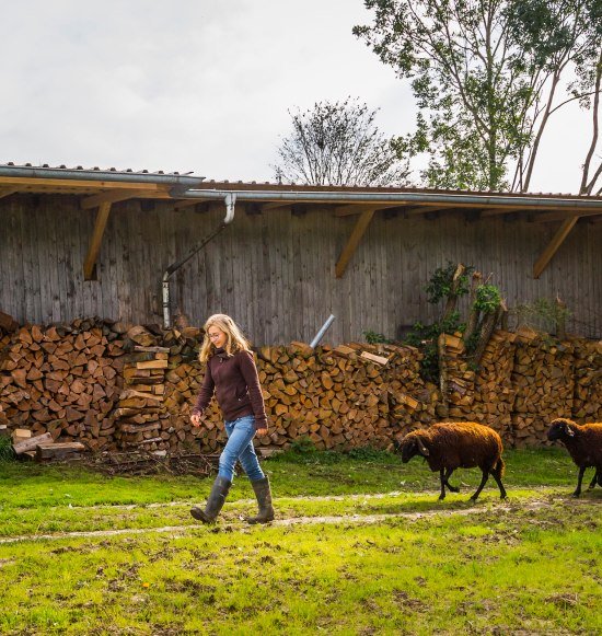 Schafe folgen Frau, &copy; Inn-Salzach Tourismus
