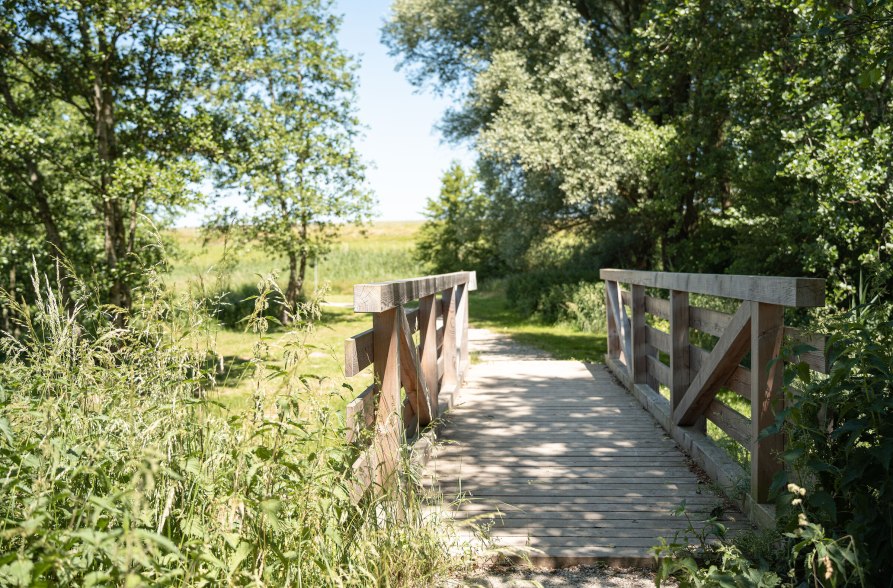 Br&uuml;cke &uuml;ber den Flossinger See, &copy; Inn-Salzach Tourismus