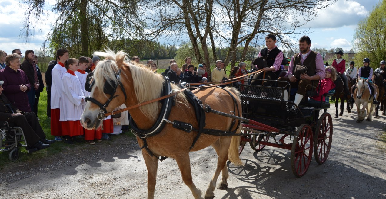 Georgiritt, © Veranstalter