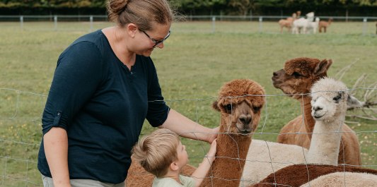 Mama und Kind streicheln Alpakas, © Inn-Salzach Tourismus