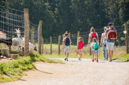 Gruppe spaziert durch den Wildfreizeitpark Oberreith, © Inn-Salzach Tourismus