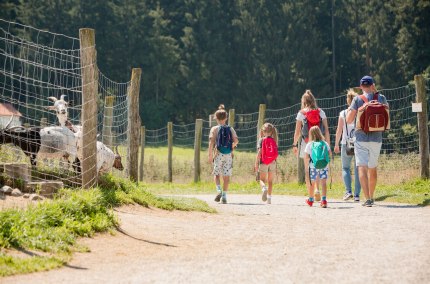 Gruppe spaziert durch den Wildfreizeitpark Oberreith, &copy; Inn-Salzach Tourismus