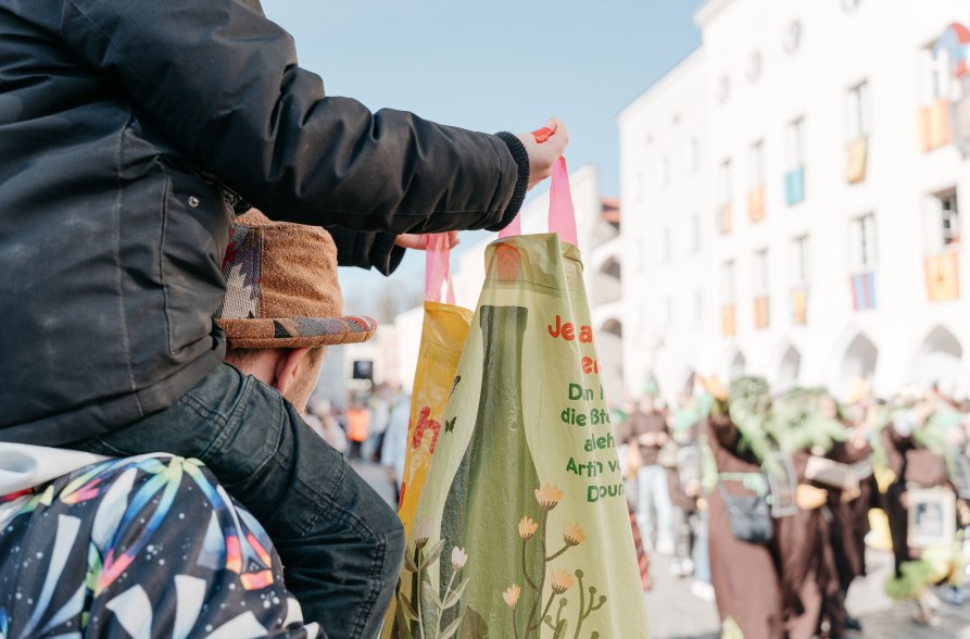 Faschingszug M&uuml;hldorf, &copy; Inn-Salzach Tourismus