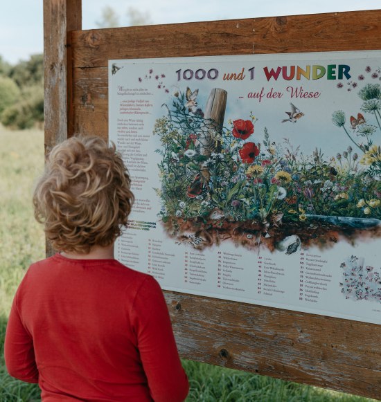 Schautafel im Umweltgarten Klugham, &copy; Inn-Salzach Tourismus