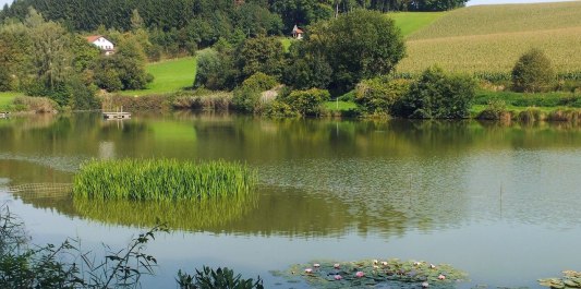 Der Loaner See ist ein Naturbadesee unweit von Buchbach., © &quot;Freizeit Camping Lain am See&quot; Betriebs GmbH