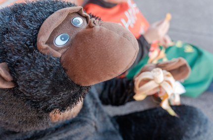 Kinderfasching, &copy; Tourismusverband Inn-Salzach