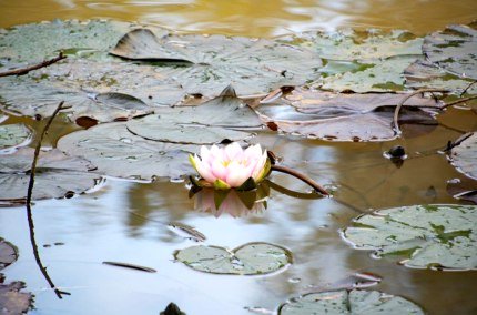 Meditative Wanderung, © Isolde Ulbig