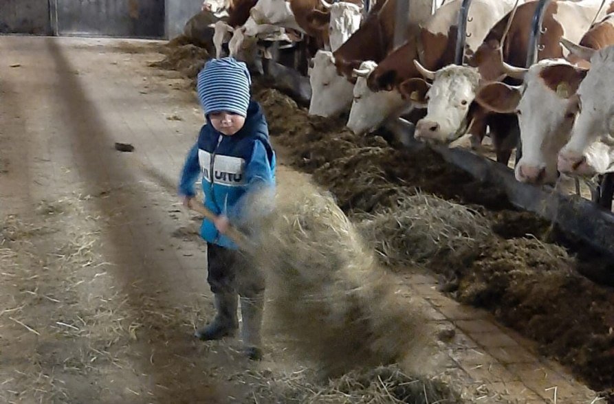 Kleinkind hilft bei Stallarbeit, © Ferienhof Wieser