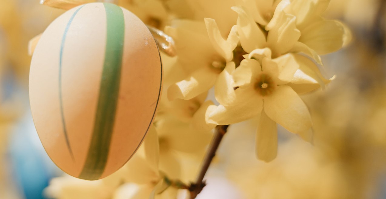 Ostereier suche, &copy; Tourismusveband Inn-Salzach