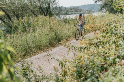 Frau beim Radfahren an der Salzach, &copy; Inn-Salzach Tourismus