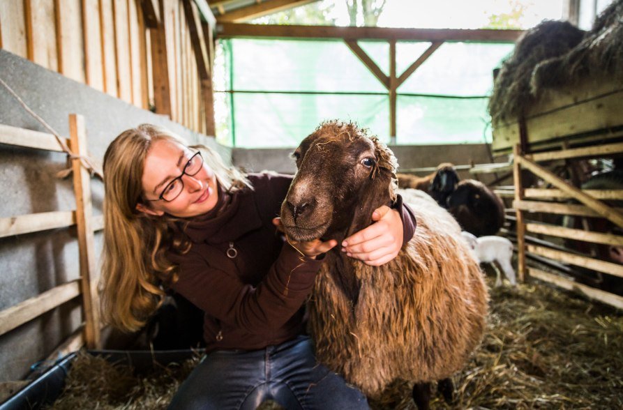 Frau umarmt ein Schaf, © Inn-Salzach Tourismus