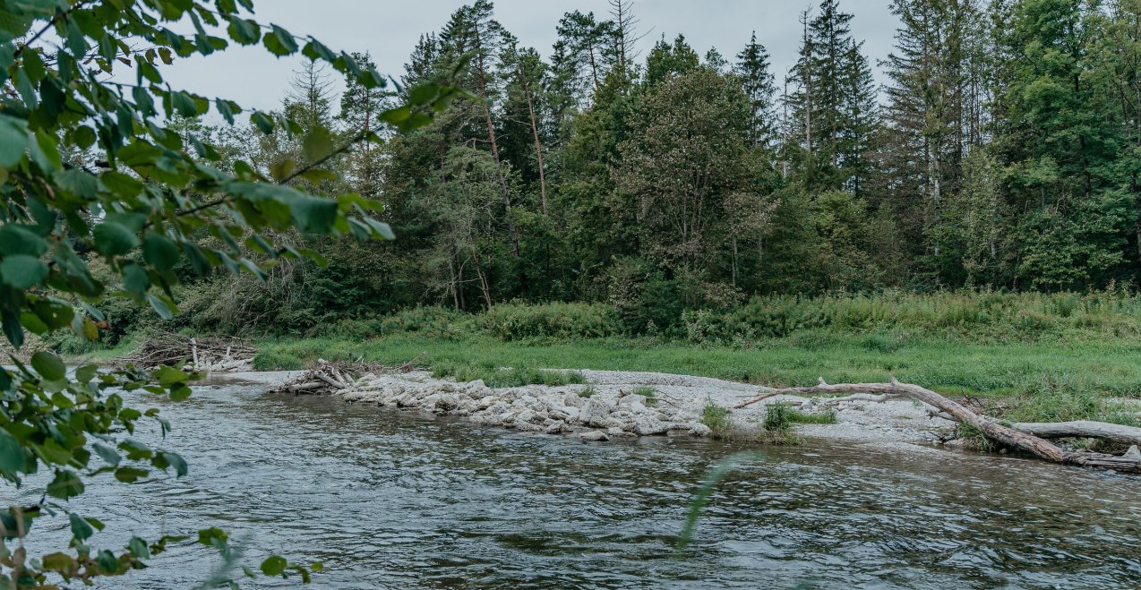 Liegewiese an der Alz, &copy; Inn-Salzach Tourismus