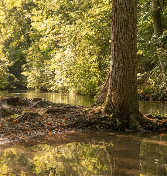 M&uuml;hlbach mit B&auml;umen in Garching a. d. Alz, &copy; Inn-Salzach Tourismus