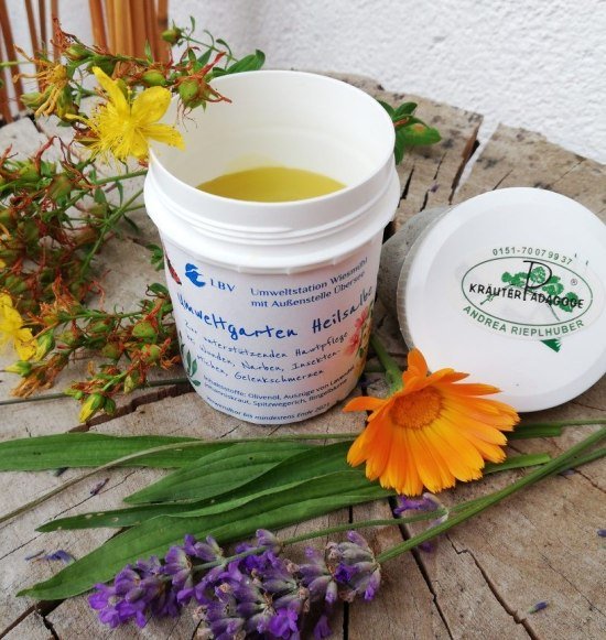 Kr&auml;uterwanderung in Trostberg, &copy; Andrea Rieplhuber