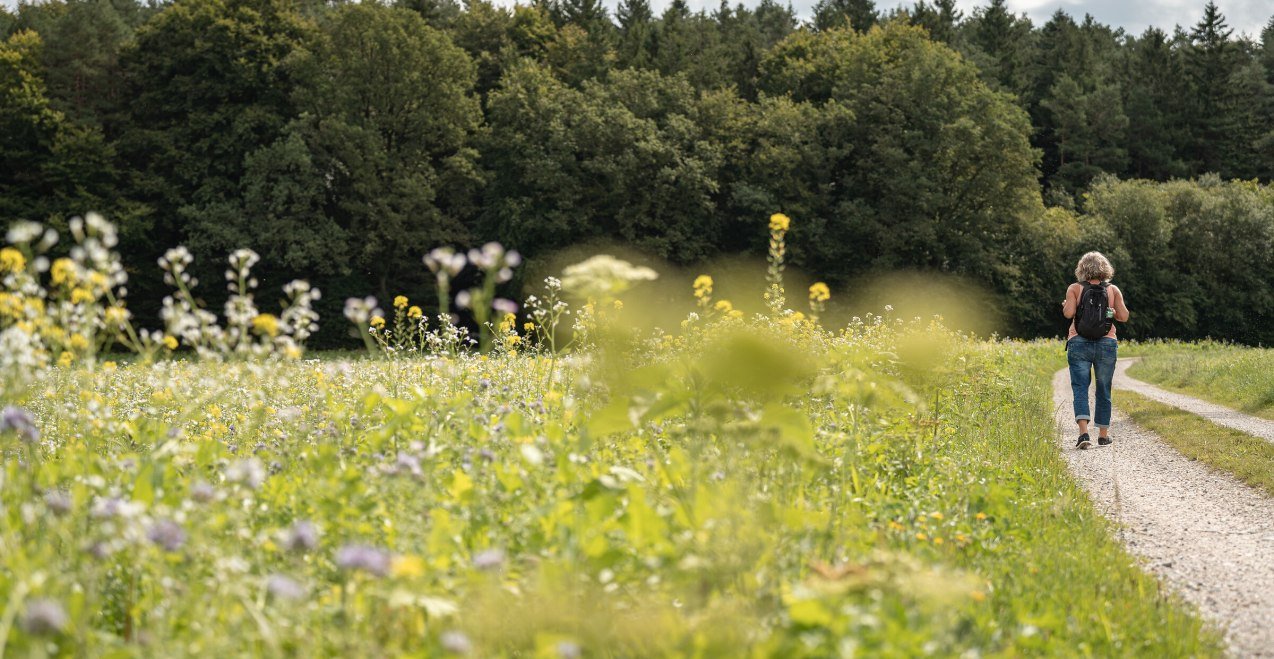 Fr&uuml;hlings-Spaziergang, &copy; Inn-Salzach Tourismus