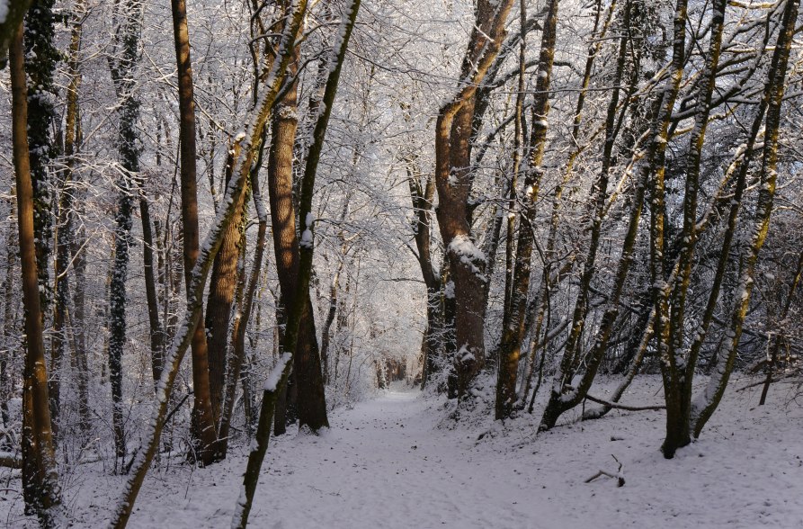 Winterwanderwege in der Inn-Salzach-Region