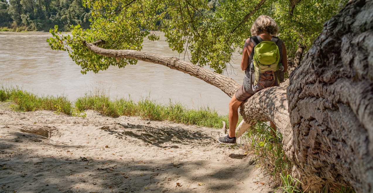 Innauen, &copy; Inn- Salzach Tourismus