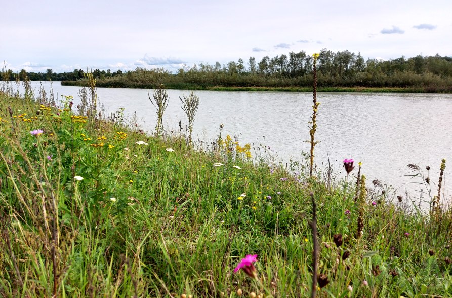 Natur erleben im Mai, &copy; Marianne Bollmann