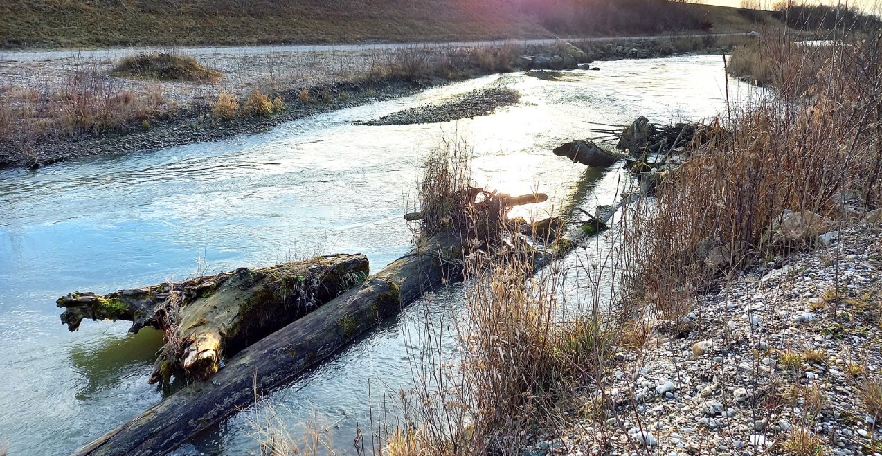 Natur erleben im Mai, &copy; Marianne Bollmann