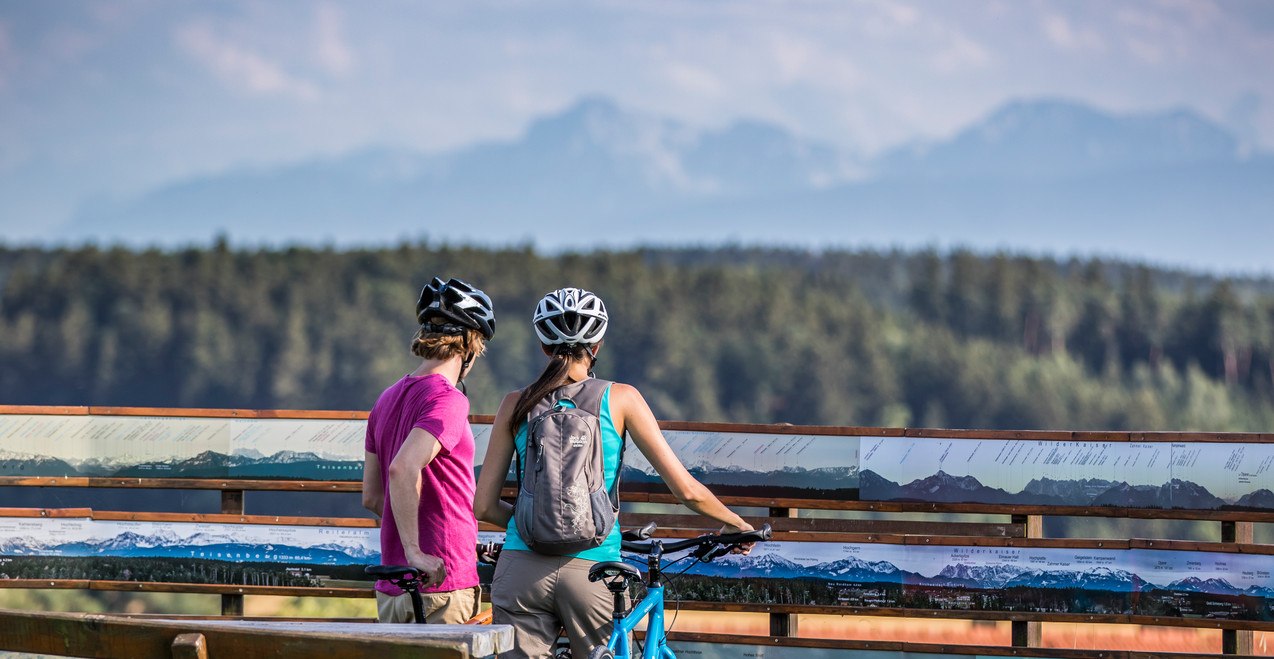 Radfahrer blicken in Richtung Alpen, &copy; Inn-Salzach Tourismus