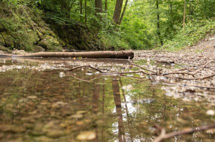 Bachlauf, &copy; Inn-Salzach Tourismus