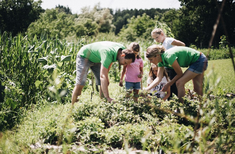 Familie bei der Ernte, © Erlebnisbauernhof Hennetsberg