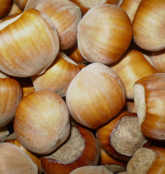 Viele Haseln&uuml;sse, &copy; Bayern Haselnuss