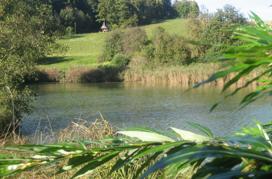 Erlensee im Sommer, &copy; Loanerland