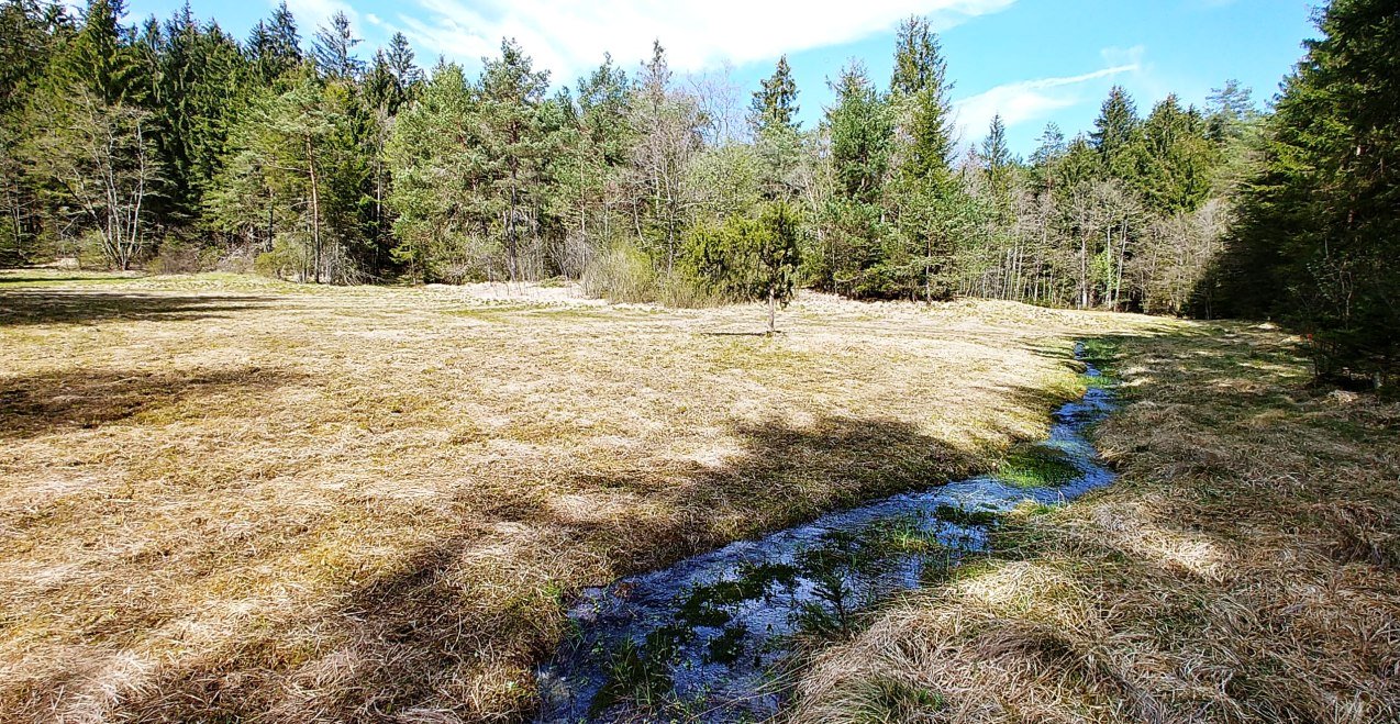 Kalkmoor im S&uuml;den Maitenbeths, &copy; Hans Schmidt