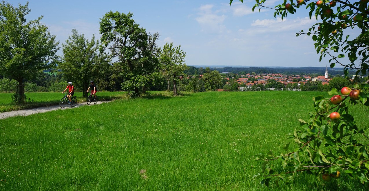 Radeln mit Blick auf Amerang, © Chiemsee-Alpenland Tourismus