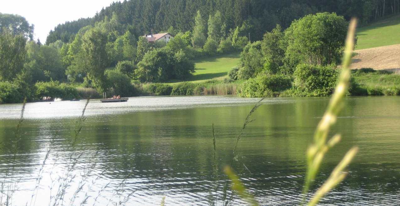 Erlensee im Sommer, &copy; Loanerland