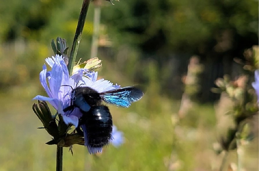 Natur erleben im Mai, &copy; Dorena Buchmeier