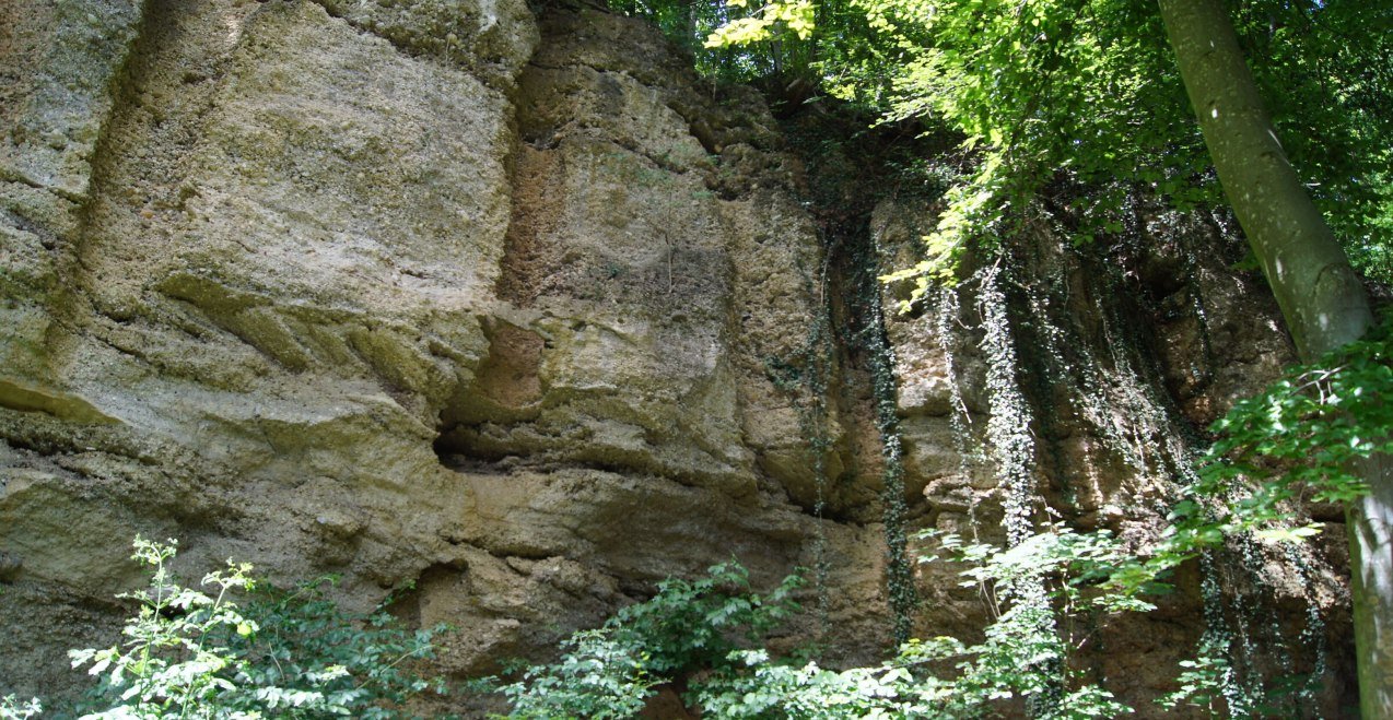 Geologische Orgeln, &copy; Inn-Salzach Tourismus