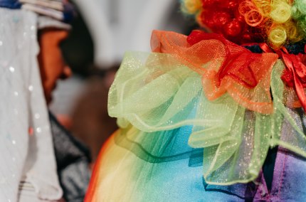 Haager Faschingszug 2026, &copy; Tourismusverband Inn-Salzach