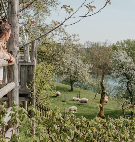 Campingplatz am Marktler Badesee, &copy; Inn-Salzach Tourismus