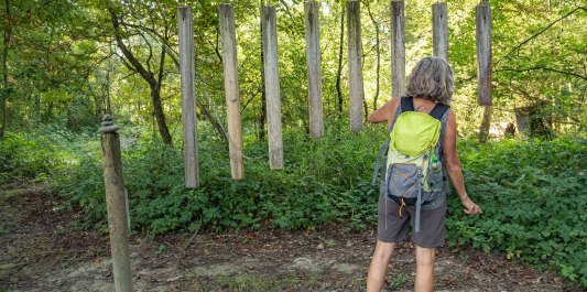 Innauen Erlebnisweg.jpg, &copy; Inn-Salzach Tourismus