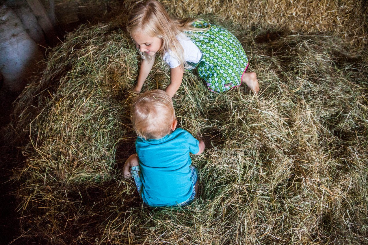 Urlaub auf dem Bauernhof, &copy; Inn-Salzach Tourismus